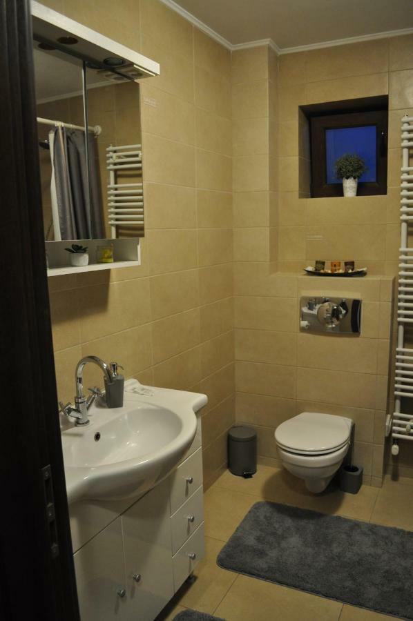 Sleep & Fly Apartment Otopeni Dış mekan fotoğraf